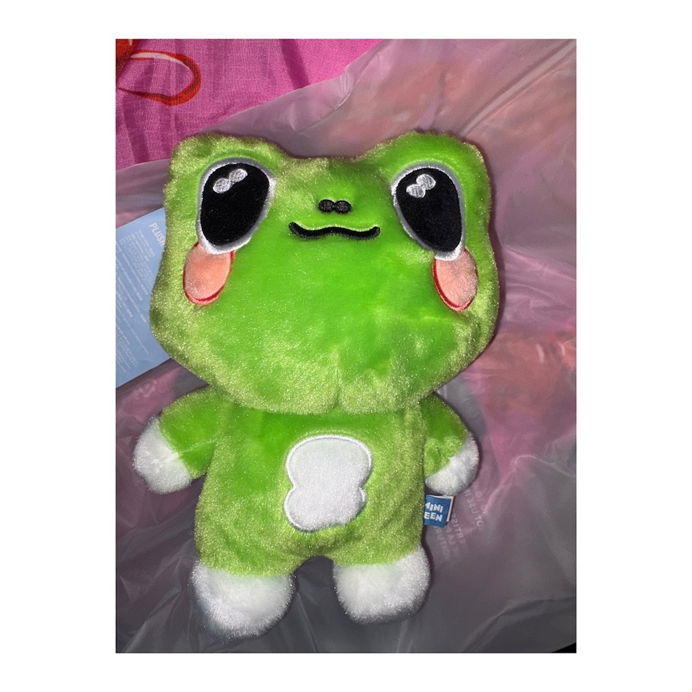 SEVENTEEN THE8 THEpalee MINITEEN OFFCIAL HOUSE PARTY PLUSH TOY